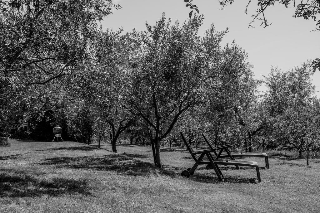 فيلا Terra Del Carso San Pelagio المظهر الخارجي الصورة